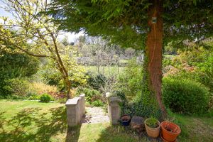 Garden- click for photo gallery